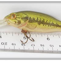 Rebel Natural Bass Baitfish Series In Box