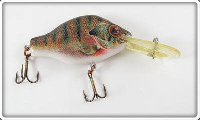 Vintage Rebel Baitfish Series Perch Lure 