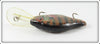 Rebel Baitfish Series Perch