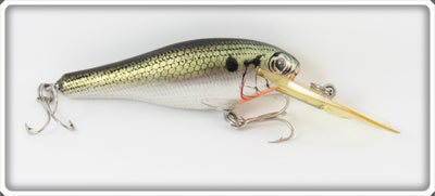 Vintage Bagley True Life Shad Bass N Shad Lure 