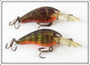 Rebel Naturalized Crawdad & Perch Little Suspend R Lure Pair