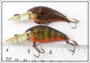 Rebel Naturalized Crawdad & Perch Little Suspend R Pair