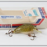 Vintage Rebel Naturalized Frog Super Teeny R Lure In Box