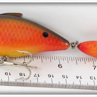 Red River Goldfish Big R Pregnant Guppie