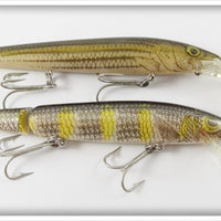 Rebel Naturalized Perch & Striped Bass Minnow Lure Pair