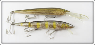 Rebel Naturalized Perch & Striped Bass Minnow Lure Pair