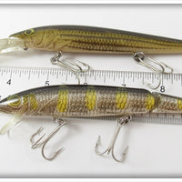 Rebel Naturalized Perch & Striped Bass Minnow Pair