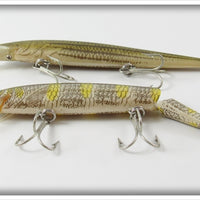Rebel Naturalized Perch & Striped Bass Minnow Pair