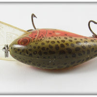 Rebel Naturalized Trout Teeny R