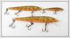 Vintage Rebel Naturalized Perch Minnow Lot Of Three Lures 