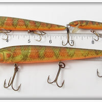 Rebel Naturalized Perch Minnow Lot Of Three