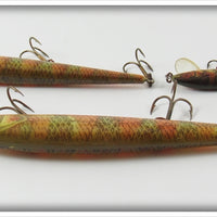 Rebel Naturalized Perch Minnow Lot Of Three