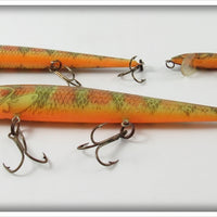 Rebel Naturalized Perch Minnow Lot Of Three