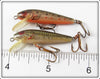 Rebel Naturalized Trout & Bass Tiny Minnow Pair