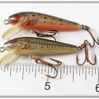 Rebel Naturalized Trout & Bass Tiny Minnow Pair