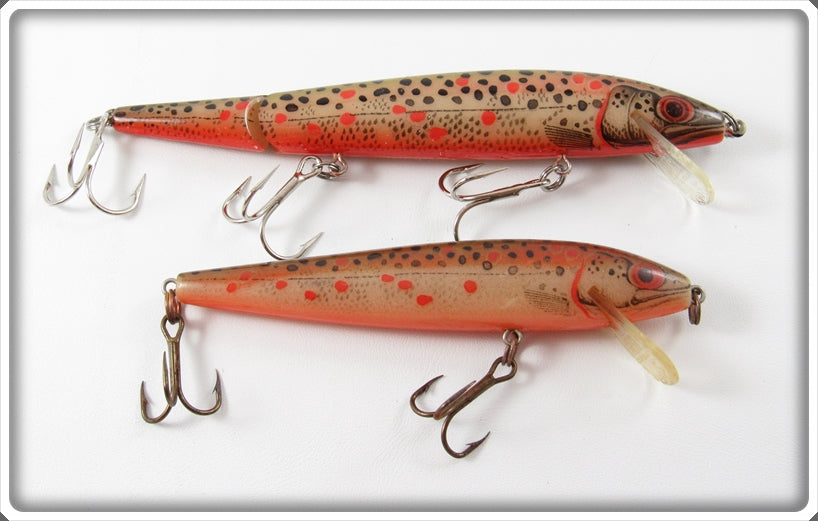 Vintage Rebel Naturalized Trout Minnow Lure Pair For Sale