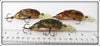 Rebel Large Crawdad Lot Of Three