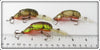 Rebel Brown & Yellow Crawdad Lot Of Three