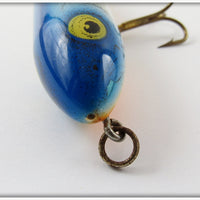 Heddon Blue & White Mystic Zara Spook