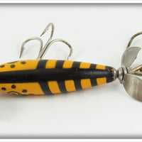 Eger Orange & Black Baby Dillinger