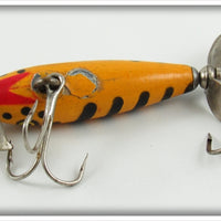 Eger Orange & Black Baby Dillinger