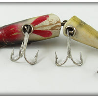 Creek Chub Perch Jointed Pikie In Box