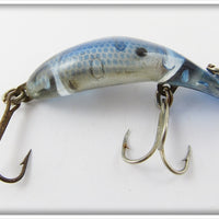 Heddon LBL Blue Scale Clatter Tad