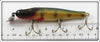 Creek Chub Perch Scale Pikie