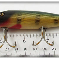 Creek Chub Perch Scale Pikie