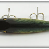 Creek Chub Perch Scale Pikie