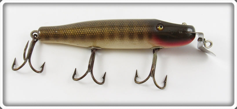 Vintage Creek Chub Pikie Scale Pikie Lure 