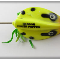 Heddon CDF Coachdog Yellow Fluorescent Brush Popper In Correct Box 5440