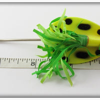 Heddon CDF Coachdog Yellow Fluorescent Brush Popper In Correct Box 5440