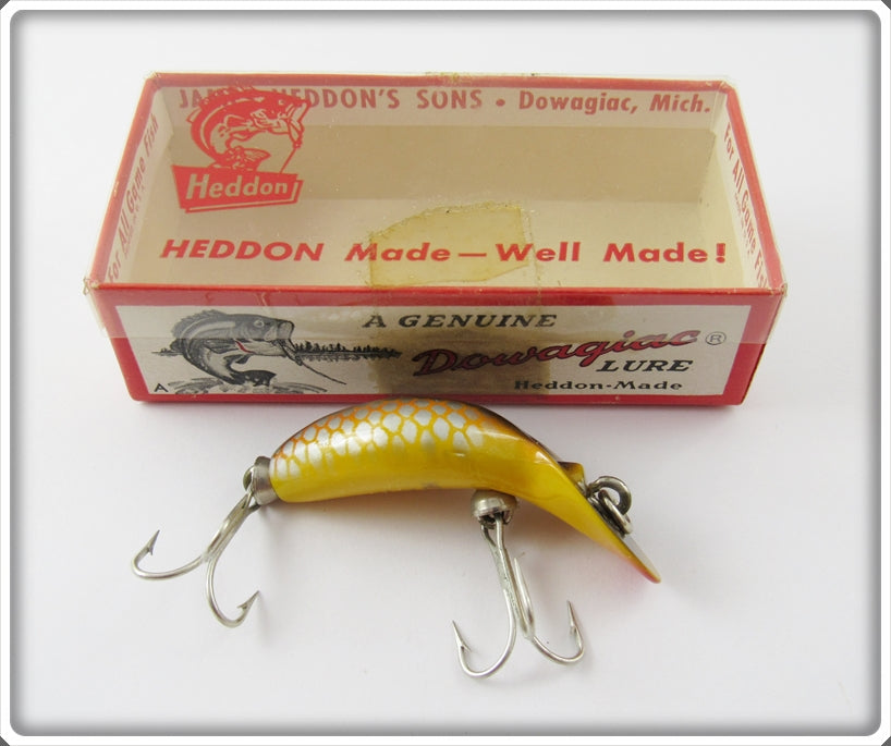 Heddon PG Golden Shiner Tiny Tad In Correct Box 390-PG