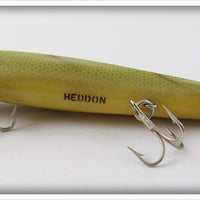 Heddon Perch Hedd Hunter