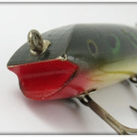 Creek Chub Frog Spot Spinnered Darter