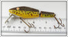L&S Yellow Body Brown Speckles Pike-Master