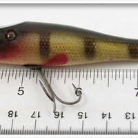 Creek Chub Perch Baby Pikie