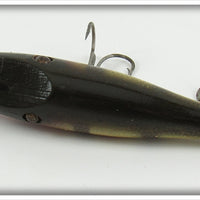 Creek Chub Perch Baby Pikie