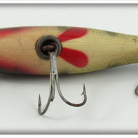 Creek Chub Perch Baby Pikie