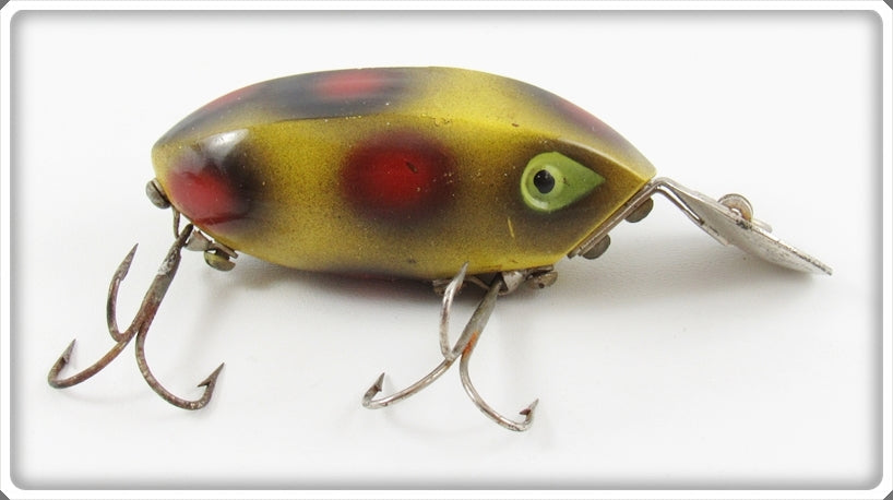 Orchard Industries Yellow With Black & Red Spots Bottom Scratcher Lure
