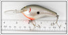 Bagley Tennessee Shad DB3