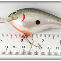 Bagley Tennessee Shad DB3