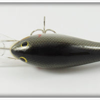 Bagley Tennessee Shad DB3