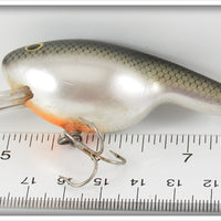 Bagley Tennessee Shad Mama Cat