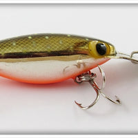 Storm Metallic Gold Scale Orange Belly Specks Hot N Tot