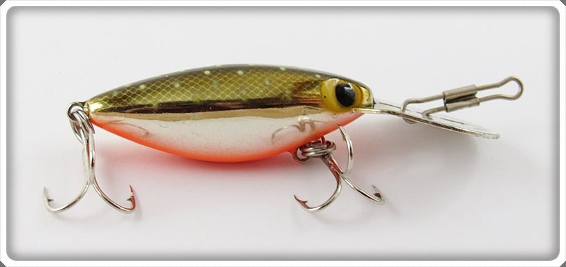 Storm Metallic Gold Scale Orange Belly Specks Hot N Tot