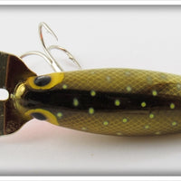 Storm Metallic Gold Scale Orange Belly Specks Hot N Tot