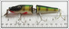 Creek Chub Perch Jointed Pikie In Box
