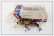 Rebel Brown Crawdad In Box